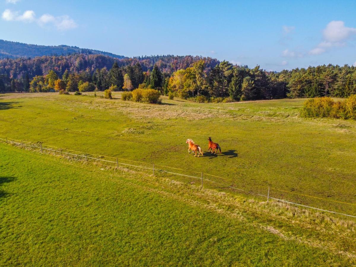 Notranjska Hisa - Traditional Country House, Close To The World Attraction Cerknica Lake Begunje pri Cerknici Dış mekan fotoğraf