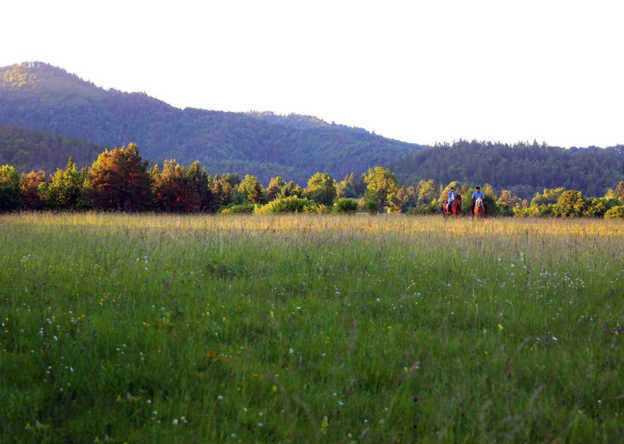 Notranjska Hisa - Traditional Country House, Close To The World Attraction Cerknica Lake Begunje pri Cerknici Dış mekan fotoğraf